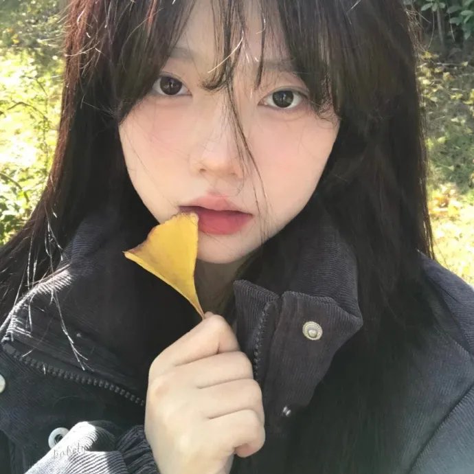 百鸟朝凤