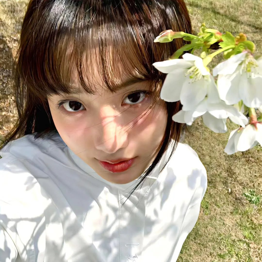 怪物狗